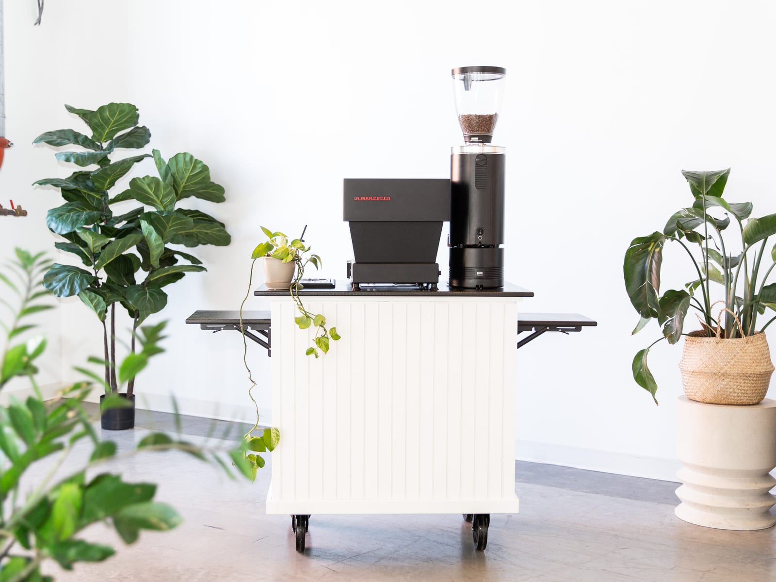 Thrive Coffee Co at an event