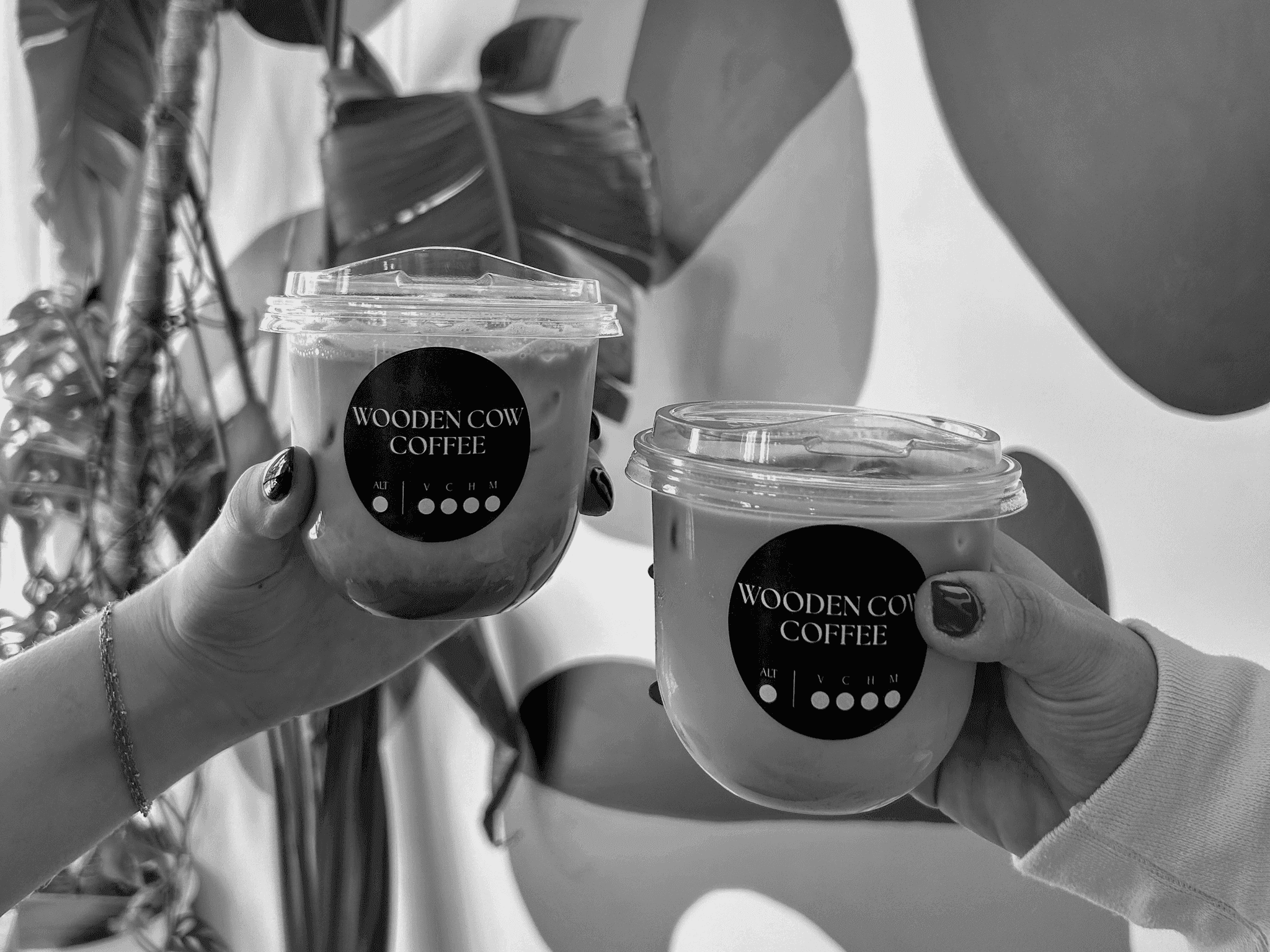 Wooden Cow Coffee photo 5